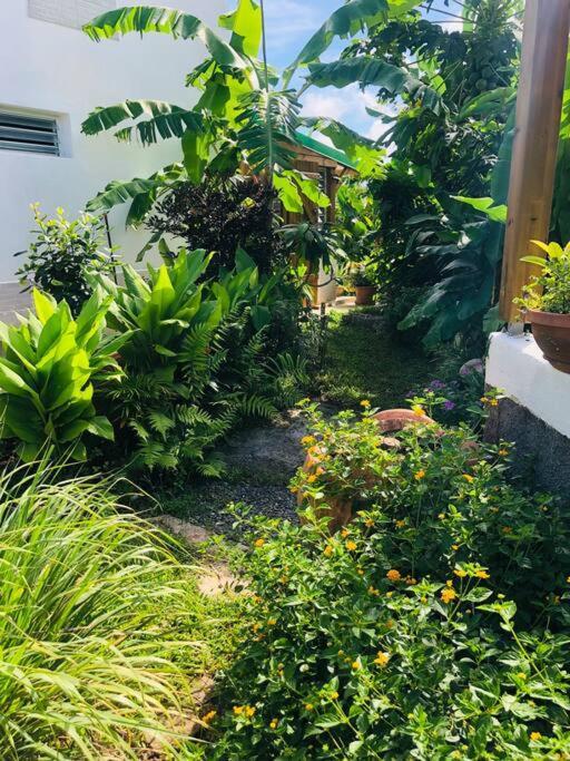Au Cœur De La Plaine Hébergement de vacances